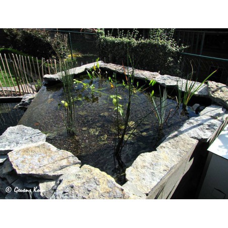 Filtrant grille (55x55x55cm)