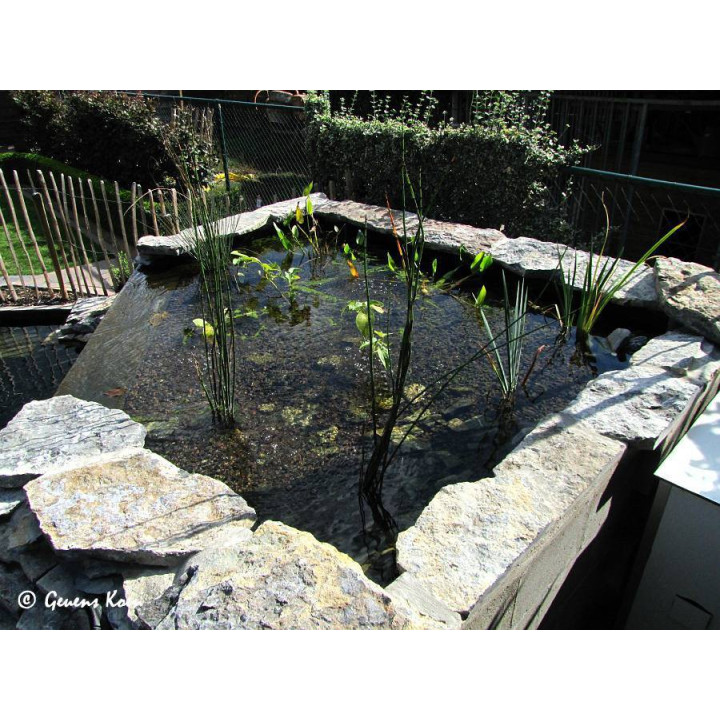 Filtrant grille (55x55x55cm)