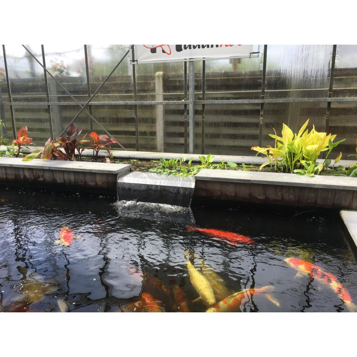 Filtrant grille (55x55x55cm)