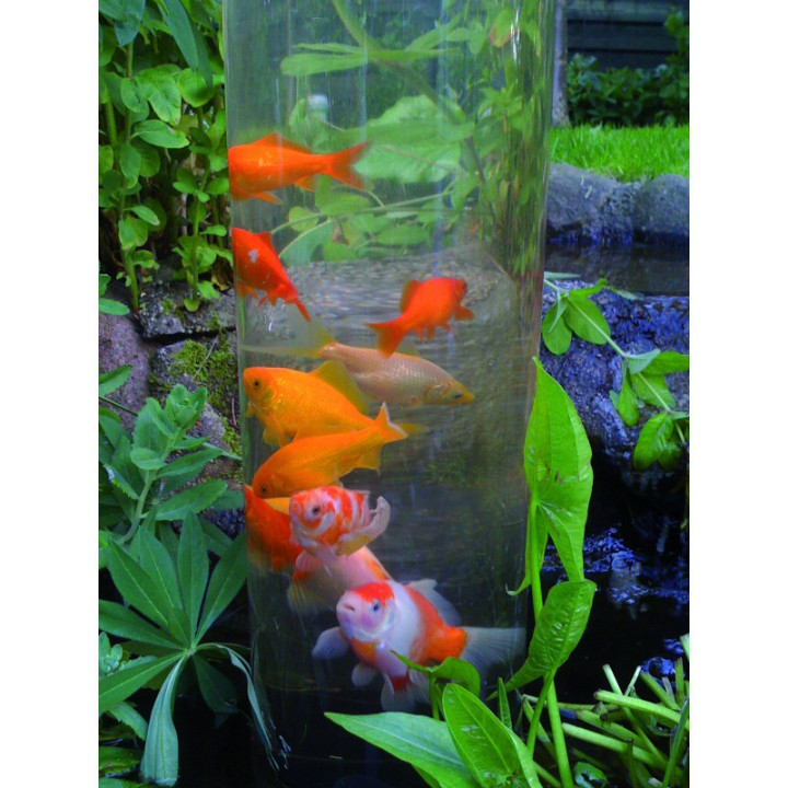 Turnul de observare pesti din iaz 50cm (FishTower-Ubbink)