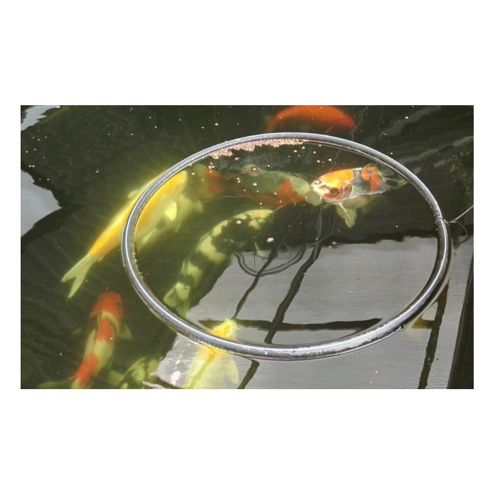 Hranitor pesti plutitor mare (40cm-feeder ring)