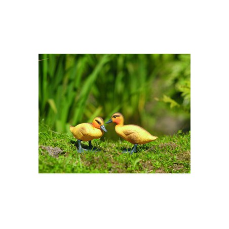 Ratusca galben (1buc) 20cm