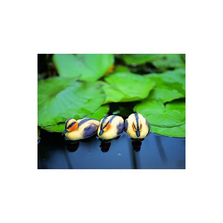 Ratusca galben 12cm (1buc)