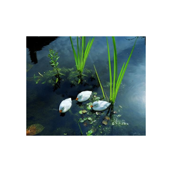 Rata ratusca alb (1buc) 12cm