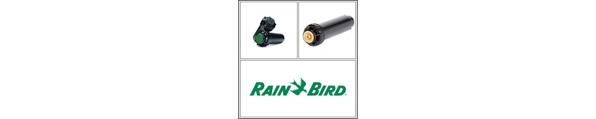 Rotoare Aspersoare Rain Bird