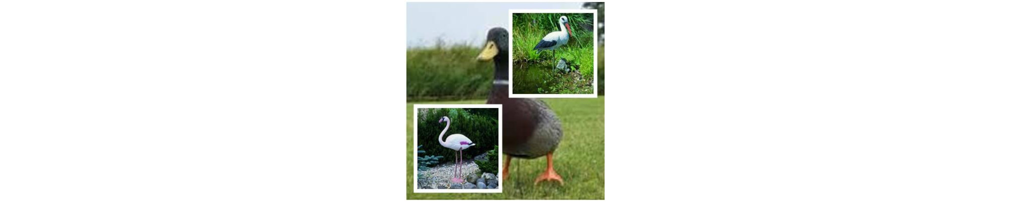 Decoratii animale salbatice