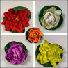 Nuferi decorative de plastic