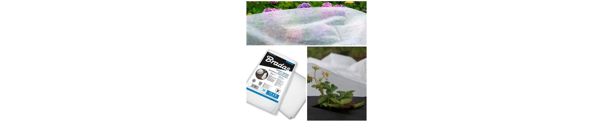 Protectia plantelor toamna si iarna