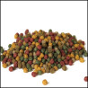 Hrana pentru pesti Coppens Premium