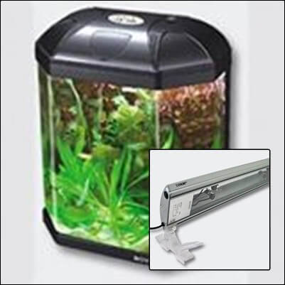 Acvarii si accesorii