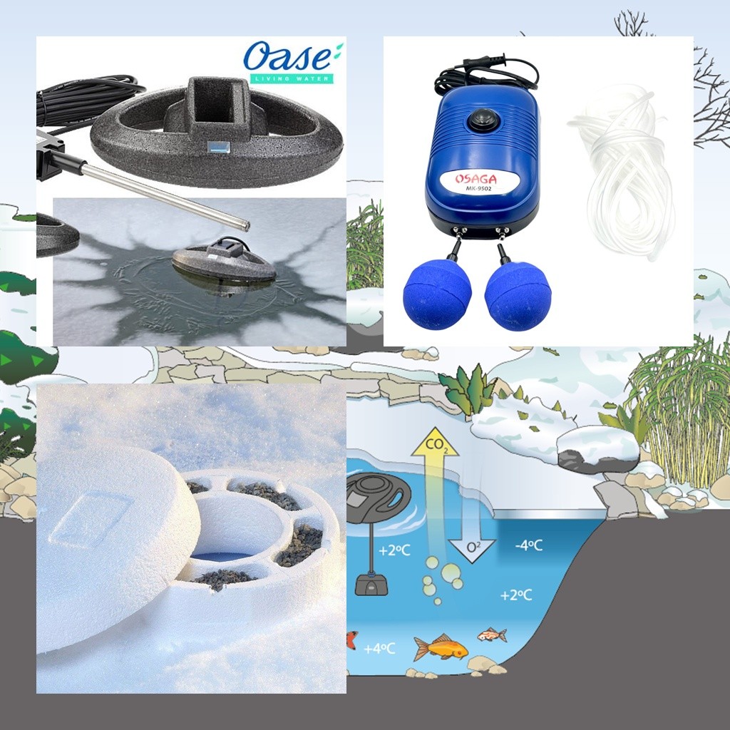 Accesorii de iarna iaz