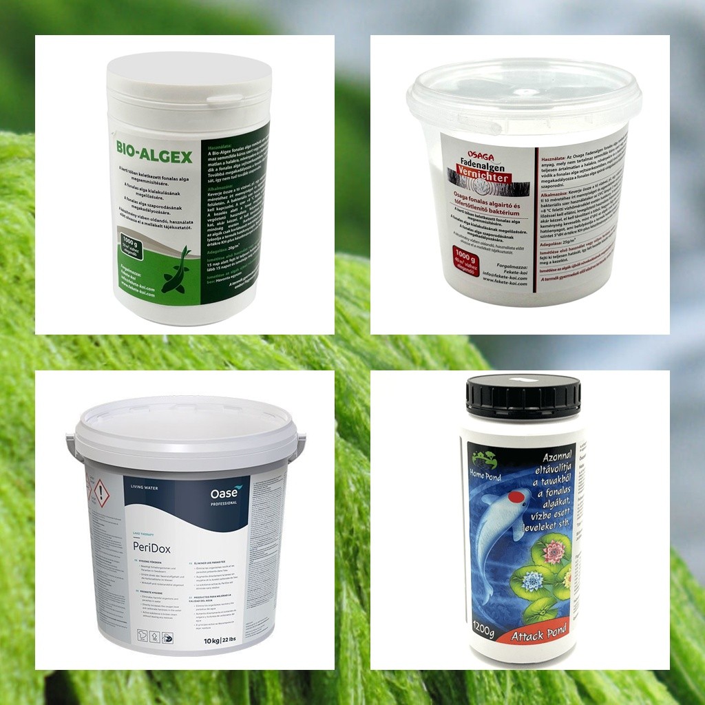 Solutii contra alge filamentoase