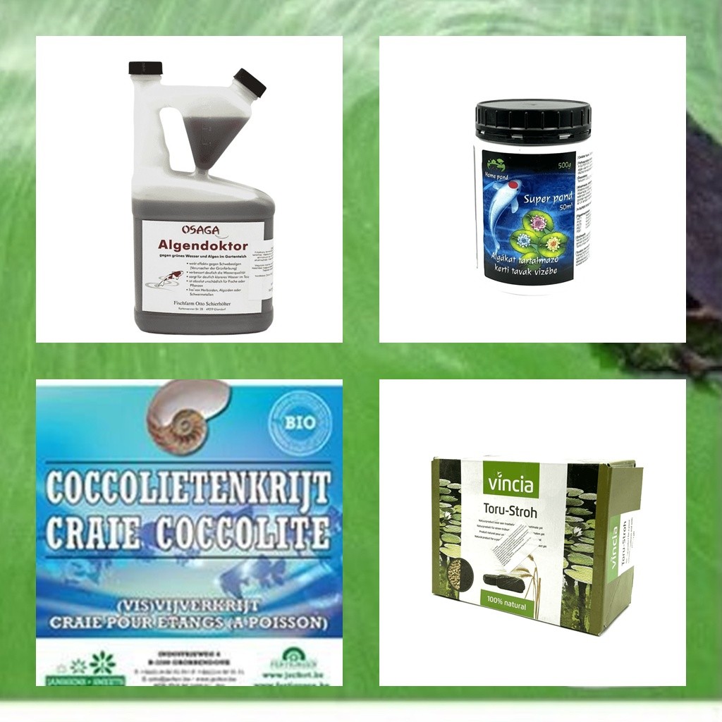 Solutii contra alge verzi