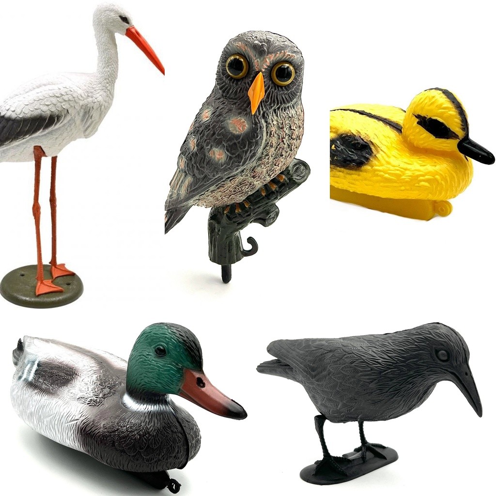 Animale salbatice, alarma de pasari