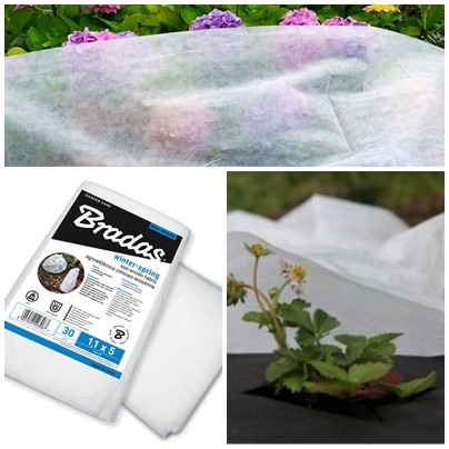 Protectia plantelor toamna si iarna